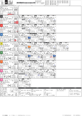 電子版