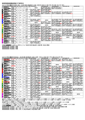 電子版