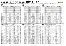 電子版